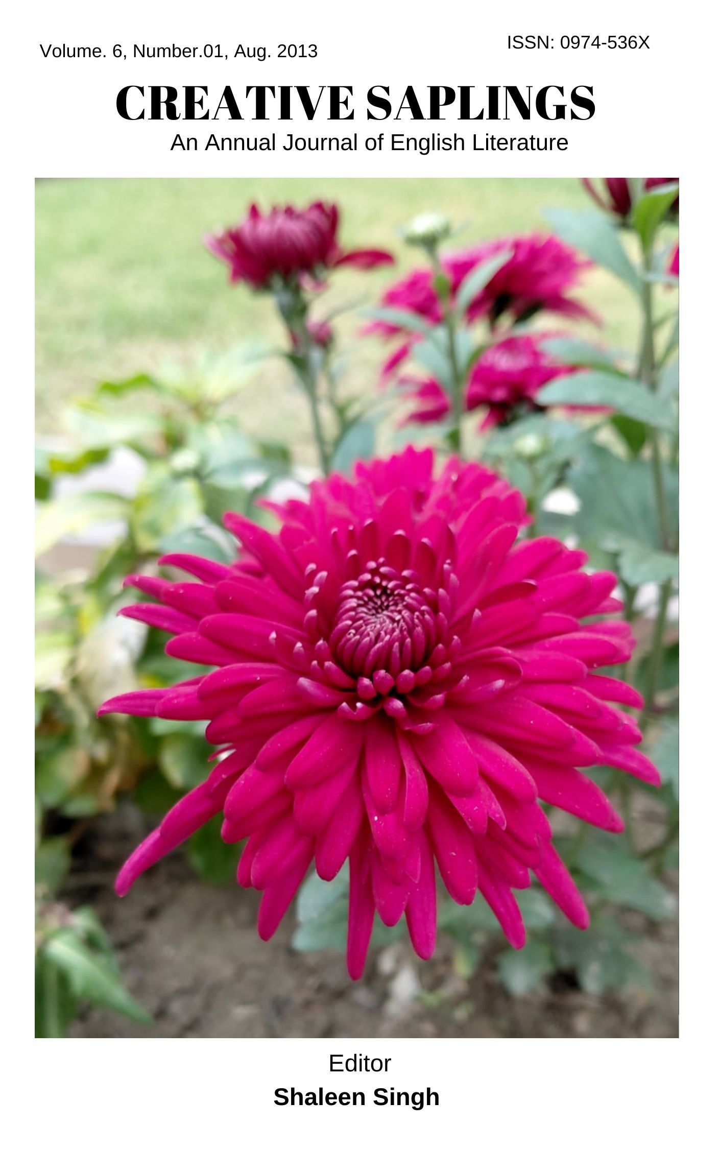 					View Vol. 6 No. 1 (2013): Creative Saplings
				